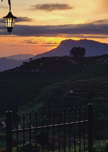 sunset1.jpg