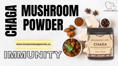 Chaga Mushroom Powder (1).png
