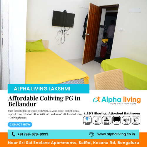 Need an affordable coliving PG near Bellandur with meals?.png