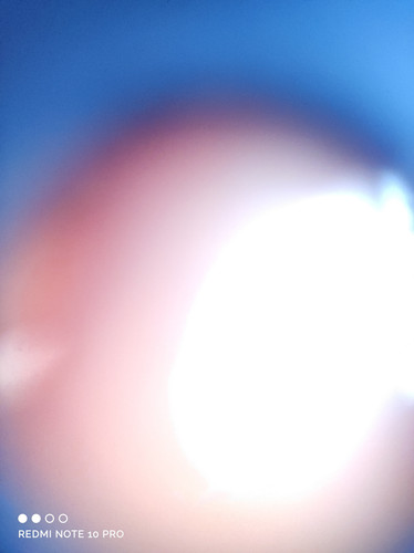.trashed 1729018982 IMG 20240810 171914.jpg