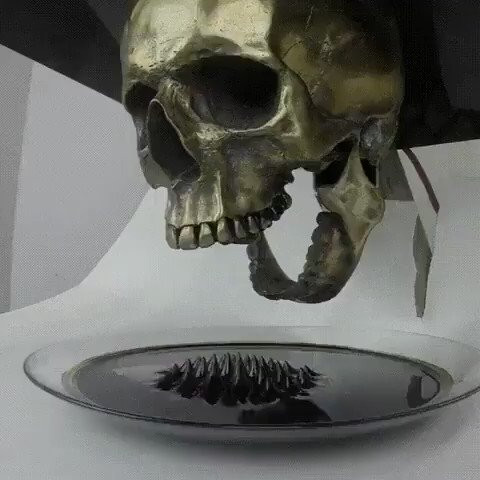 RJvuyfmAaeyRJlV8.jpg