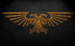 b1be56b49903.webp