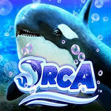 Orca