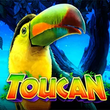 Toucan