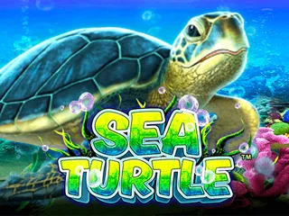 SeaTurtle.png