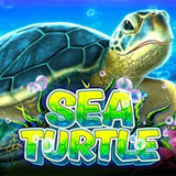 SeaTurtle
