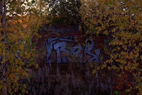 DSC 0084.jpg