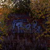 DSC 0084