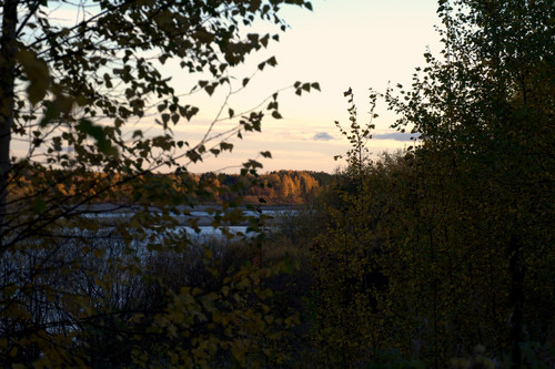 DSC 0098.jpg