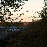 DSC 0098