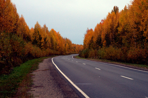 DSC 0139.jpg