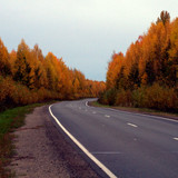 DSC 0139