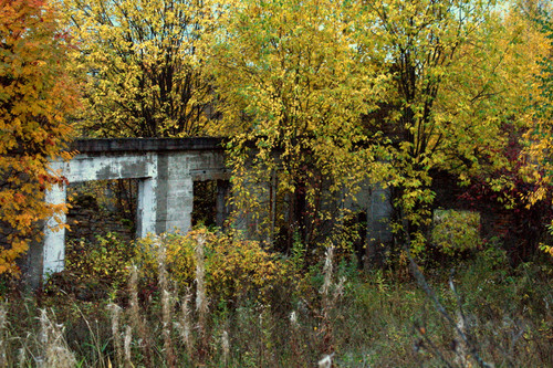 DSC 0048.jpg