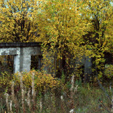 DSC 0048