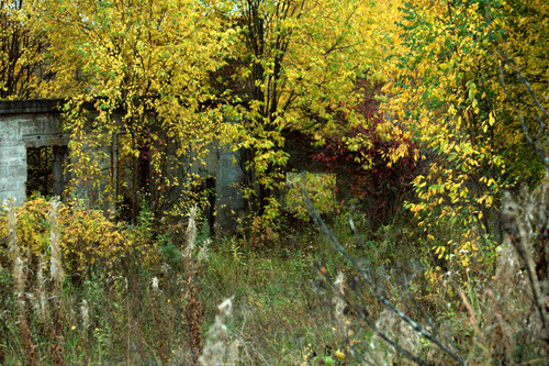 DSC 0052.jpg
