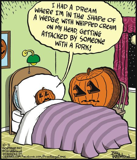 c11ab9cd4418ba672e629cc343735c77.jpg