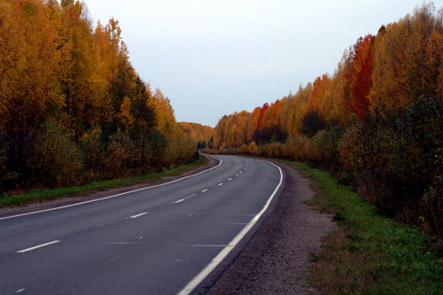 DSC 0141.jpg