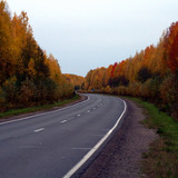 DSC 0141