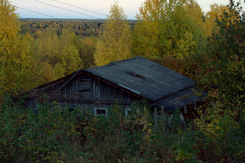 DSC 0107.jpg