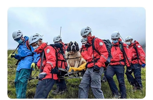 461587009 940042938151636 1823111257273123148 n.png