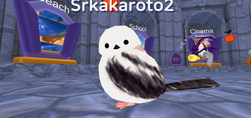 imagen.jpg