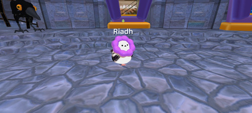 imagen.jpg