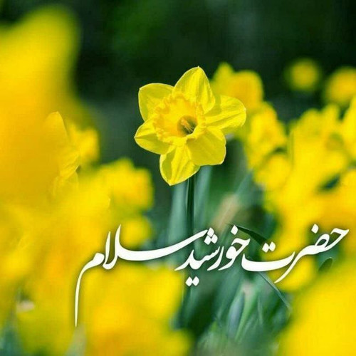 MCuhaxemFWYisH1BgA7eRxtQXtrBfuUFjx1J1K8W9Qpfn4rhMRkMDX km7A17bJG6YXW WwJxZpRarjax6pvMiGvklRb73q1fHeb.1