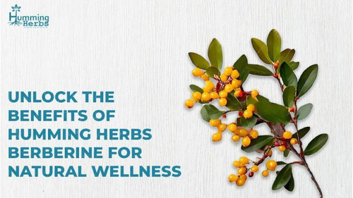 Unlock the Benefits of Humming Herbs Berberine Supplements for Natural Wellness. (1).jpg