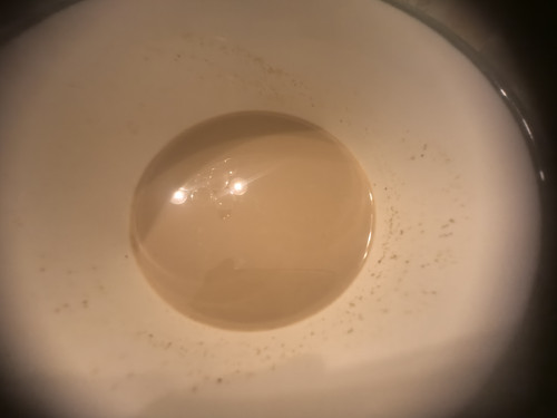 IMG 20241004 223013.jpg