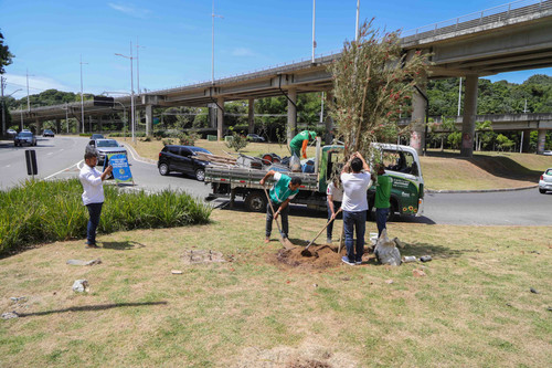 04 10 2024 Implantacao do Primeiro corredor verde de Salvador Fot Bruno Concha Secom Pms (23).jpg