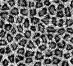 image 2024 10 04 133957604.png