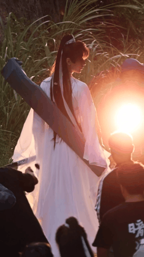 IMG 1433.gif