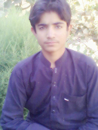 file 3384.jpg