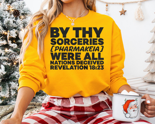 Christmas Light Mockup D MMO Up burger t5 24 T5 2024 Ds Den DS 071123 Linh By Thy Sorceries (Trang)..jpg
