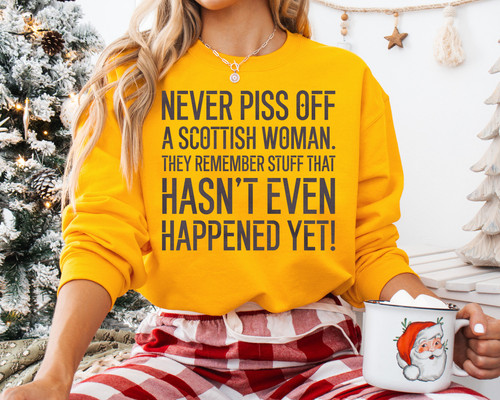 Christmas Light Mockup D MMO Up burger t5 24 T5 2024 Ds Den DS 140324 Linh FUNNY SAYING Never piss o.jpg
