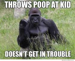 gorilla.jpg