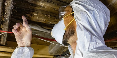 Mold Inspection Freehold NJ.jpg