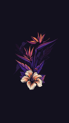  fhdflowers1.jpg