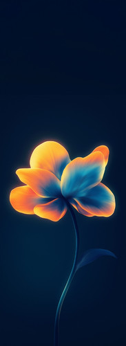 1728038564488 Glowing in Dark 62657.jpg