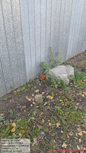 20241004 142649.jpg