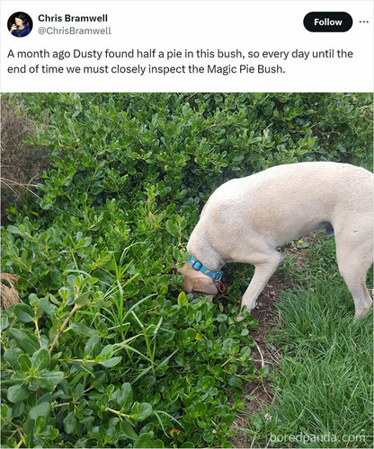 people love food memes13 66fd2aeb0d067 700.jpg