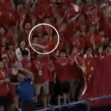 IMG 9842.gif