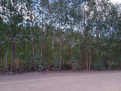 ID14113 13.jpg