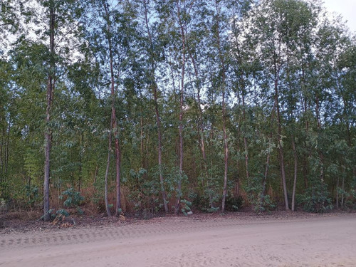 ID14113 15.jpg