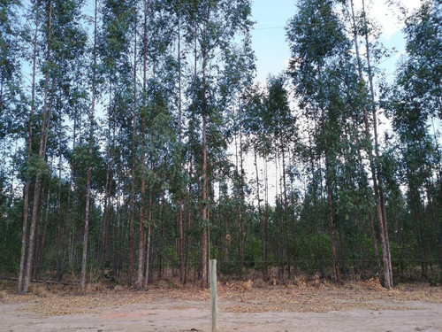 ID14113 10.jpg