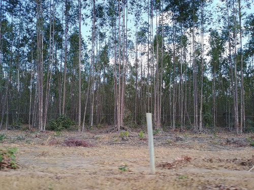 ID14113 1.jpg