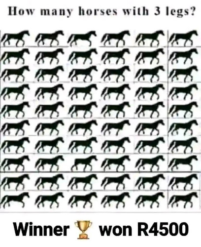 455246458 379210448541519 7573520945465986292 n.jpg