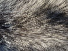 image 2024 10 03 000701176.png