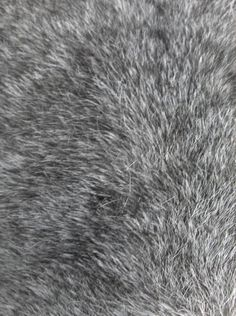 image 2024 10 03 000820531.png
