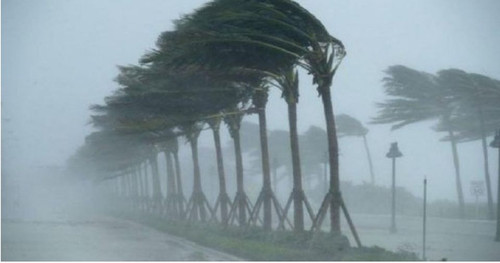 462170427 959788696193282 5001264401625513431 n.jpg?stp=dst jpg s960x960& nc cat=107&ccb=1 7& nc sid.jpg